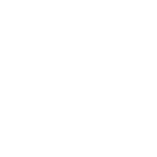 BB Born Brave